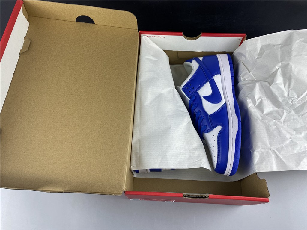 NIKE SB DUNK LOW CU1726-100